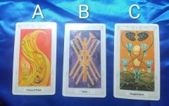 見たときがタイミング